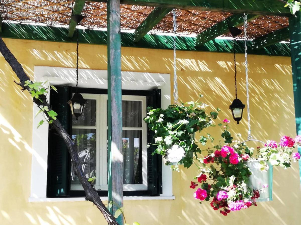Garden House In Corfu Villa Corfu  ภายนอก รูปภาพ